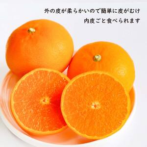 せとか 約 3kg (9~13玉) 【2027年3月上旬ごろから発送予定】 せとか みかん【SHM0111】