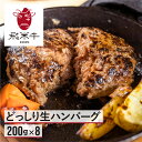 【ふるさと納税】《簡易包装》うまい赤身にこだわった 牛飼いの和牛肉 飛米牛 生ハンバーグ　200g×8枚 飛米牛 ひめぎゅう 生ハンバーグ 和牛100% 冷凍 牛肉 ビーフ おかず [Q2451] 20000円 2万円 《hida0307》