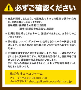 コッコファームのたまご 160個 コッコファーム《90日以内に出荷予定(土日祝除く)》熊本県 菊池市 卵 鶏卵 玉子 たまご 家庭用 熊本県産 九州産 冷蔵 送料無料