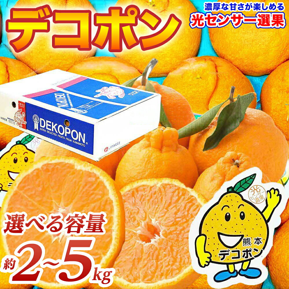 【ふるさと納税】令和8年熊本地震復興支援 【先行予約】 デコポン 約2kg〜約5kg 【選べる内容量】 でこぽん 不知火 みかん 蜜柑 柑橘 果物 フルーツ 旬 熊本県 八代市 送料無料【2026年12月上旬より順次発送】