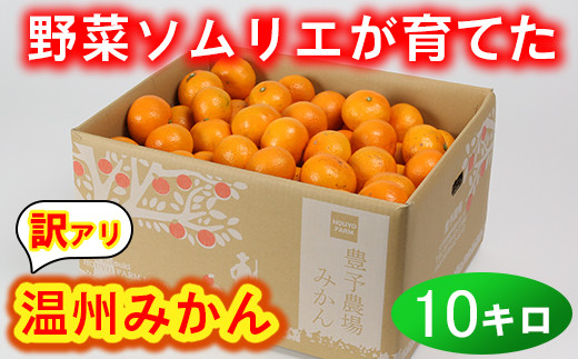 【訳あり・規格外品】野菜ソムリエ石児さんの「温州みかん 10kg」 ミカン みかん 蜜柑 柑橘 10kg 柑橘類 訳あり 甘い 温州みかん フルーツ ＜103-005＞