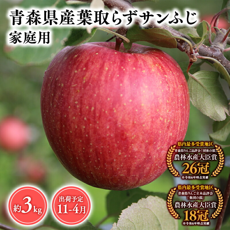 2026年産１１月～4月発送　【訳あり】家庭用葉とらずサンふじ3kg【青森県 平川市 そと川りんご園】 