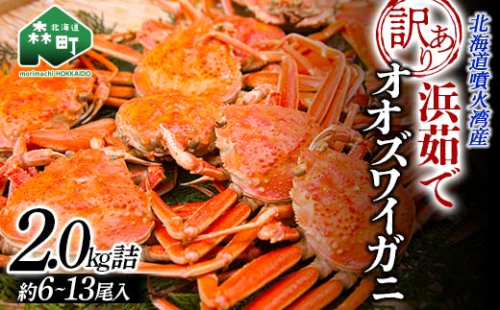 【訳あり】浜茹でオオズワイガニ 2.0kg 詰め込みセット 北海道噴火湾産 ＜道産ネットミツハシ＞ かに カニ 蟹 がに 北海道 森町 ふるさと納税 mr1-1500