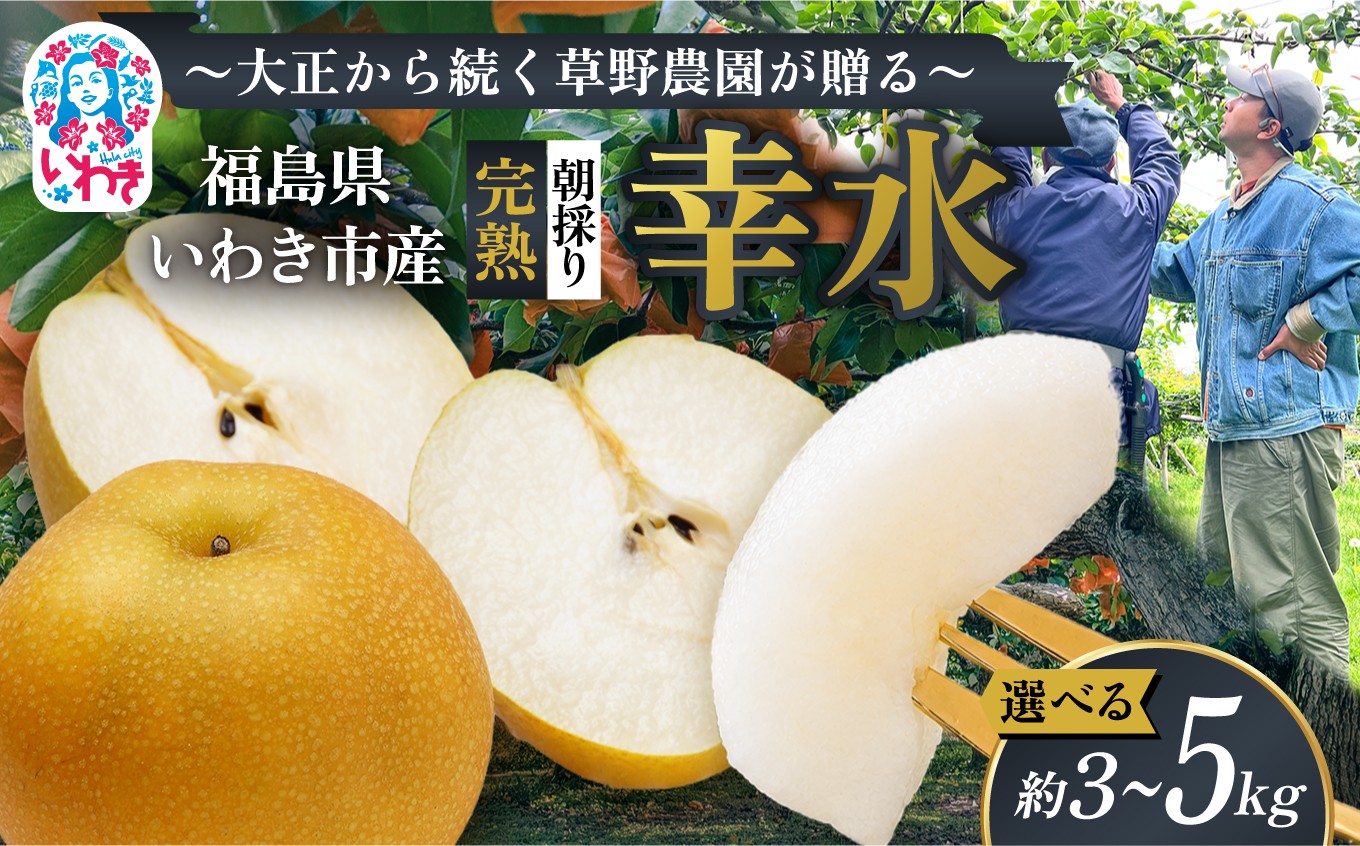 
                  【先行予約】【選べる容量】福島県 いわき市産 梨 ( 幸水 )  約 3kg / 約 5kg | 選べる 梨 なし nashi nasi 先行予約 数量限定 フルーツ 果物 産地直送 限定品 贈り物 新鮮 お取り寄せ デザート ギフト 風味豊か 香り 上品 地域 甘い 限定 果樹 梨園 草野農園 福島県 いわき市 ふるさと納税 おすすめ | KN001-oya
                