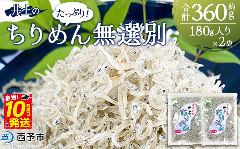 
            ＜井上のちりめん 無選別 合計約360g（180g入り×2袋）＞ ちりめんじゃこ タコ エビ イカ 稚魚 バラバラ かたくちいわし 小魚 小分け カルシウム 乾物 ジッパー付 たっぷり 便利 海鮮 井上水産 特産品 愛媛県 西予市【冷蔵】
          