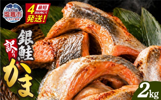 【最短4日スピード発送】 鮭 訳あり 銀鮭 カマ 冷凍 2kg(500g×4パック) 小分け 銀鮭かま サーモン かま 訳あり品 甘塩 仕上げ おすすめ 塩焼き 脂のり 塩銀鮭 銀鮭カマ 銀シャケ 鮭カマ 鮭かま サケ しゃけ シャケ 魚 魚介 宮城県 塩竈市 三晃食品 sh00001-2kg