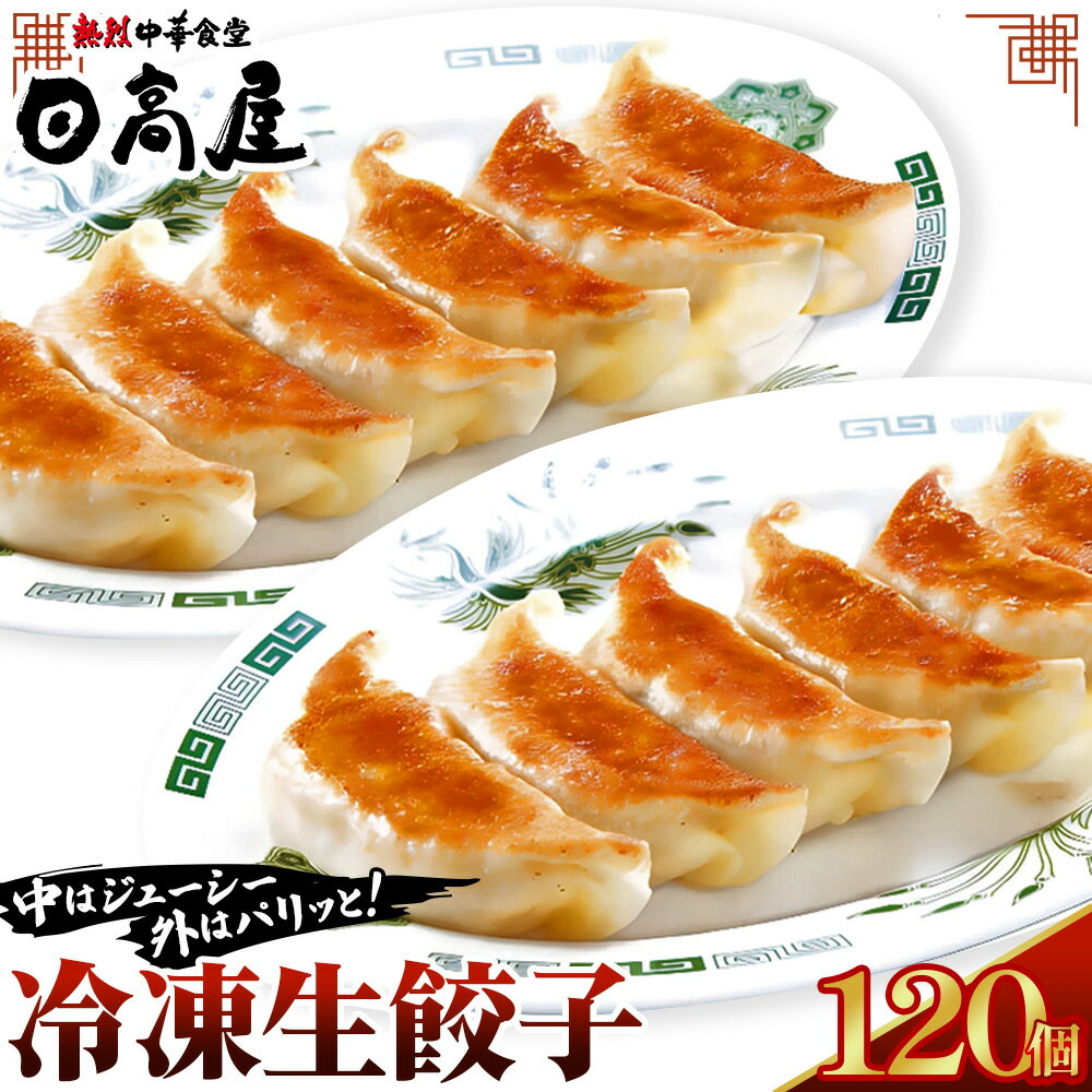【ふるさと納税】No.308 日高屋 冷凍生餃子 【120個】 ／ ぎょうざ ギョーザ 送料無料 埼玉県