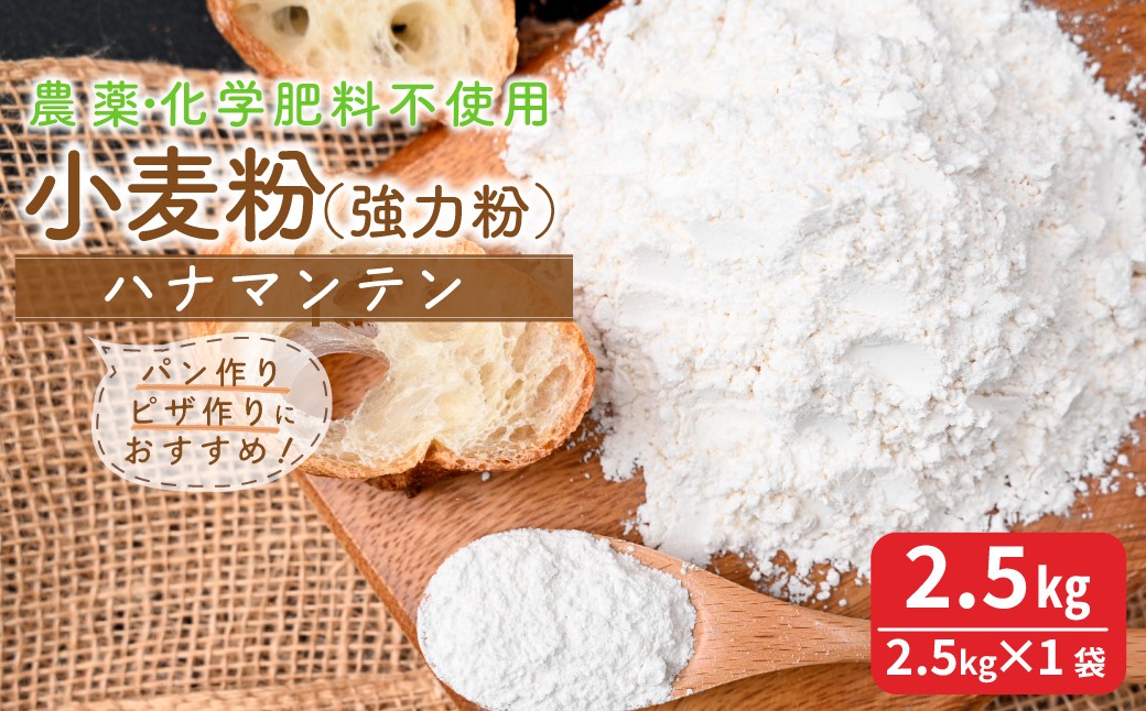 
            【思いやり型返礼品】 小麦粉 ハナマンテン 2.5kg  | 小麦粉 小麦 粉 強力粉 国産 パン ピザ 栽培期間中 農薬不使用 化学肥料不使用 料理 就労支援 世界農業遺産 落ち葉堆肥農法 循環型農業 森林循環 森のとうふ屋さん きふと 埼玉県 所沢市
          
