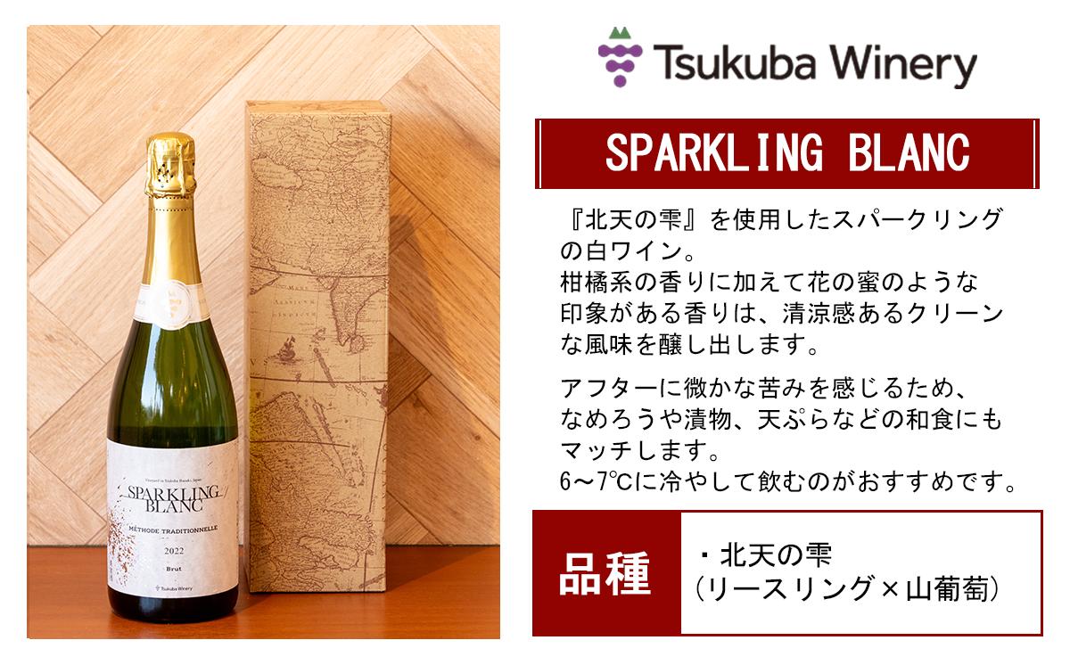 つくばワイナリー SPARKLING BLANC & ROSE セット 【 お酒 葡萄 ぶどう ブドウ 茨城県産 つくば市産 ブラン ロゼ スパークリングワイン ワイナリー 】
