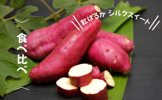 
            7-010-027　さつまいも食べ比べ（紅はるか・シルクスイート）5kg【マルゼン佐藤果樹園】
          