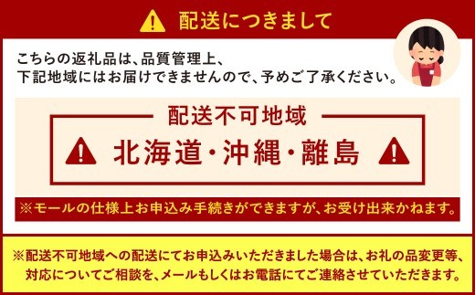 博多あまおう DX上級品 約500g（約250g×2パック入り）