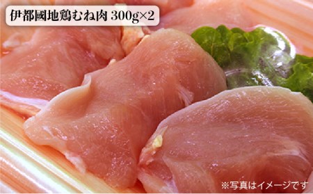 【月10個限定】伊都國地鶏水炊き用セット（もも、むね、ガラ計1.8kg）2～3人前×2セット_トラヤミートセンター [AJD006] 国産 鶏肉 詰め合わせ 地鶏 水炊き 鍋 もも