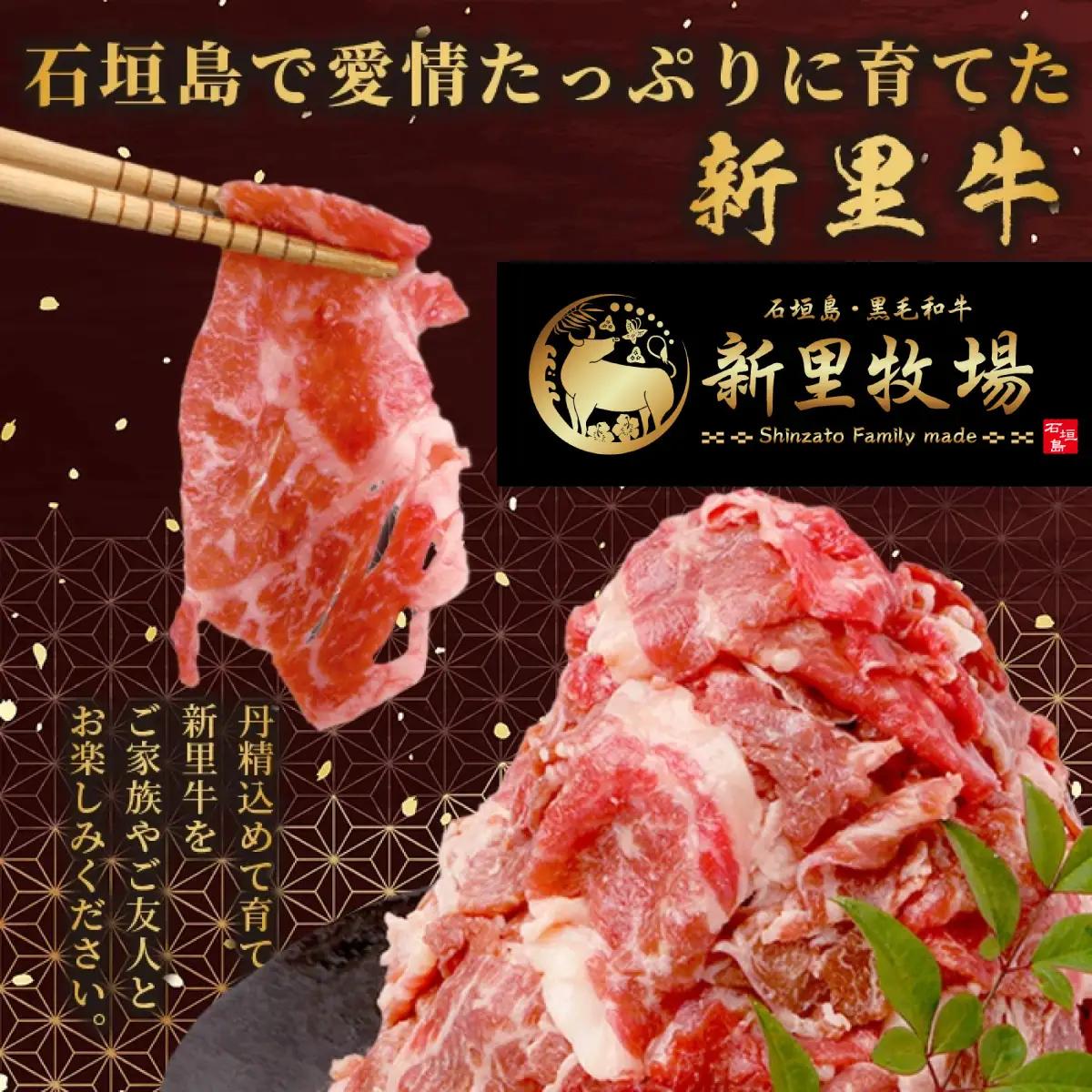 石垣島産 黒毛和牛 新里牛 多用途抜群！ 切落し (500g×1) 500g SZ-13