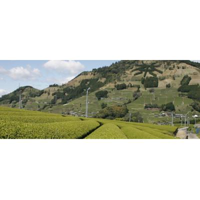 ふるさと納税 掛川市 掛川東山茶「ききょう」茶葉　5g×20袋 |  | 01