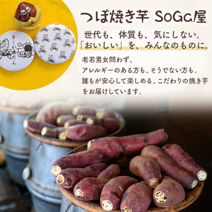 ミルクつぼ焼き芋ジェラート(5個) ジェラート アイス 焼き芋アイス 焼き芋 ミルクアイス ミルクジェラート 焼き芋ジェラート【uj-EC002】【つぼ焼き芋 SoGa屋】