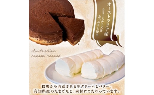 6回 定期便 チーズケーキ チョコレートニューヨーク 4号 12cm 冷凍 手作り お土産 お取り寄せ チーズ ケーキ チョコ お菓子 洋菓子 おやつ デザート 手づくりチーズケーキ工房 ちーず屋 手