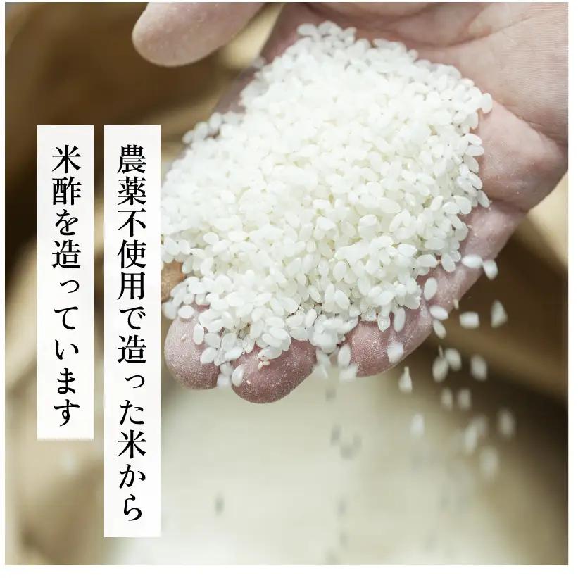 食べる富士酢（酢酸菌入り）6袋入 飯尾醸造 黒酢カプセル 富士酢 酢 お酢 マリネ ドレッシング 酢漬け 健康  美容 ギフト プレゼント myz03 myz09 myz11 myz22 myz23 