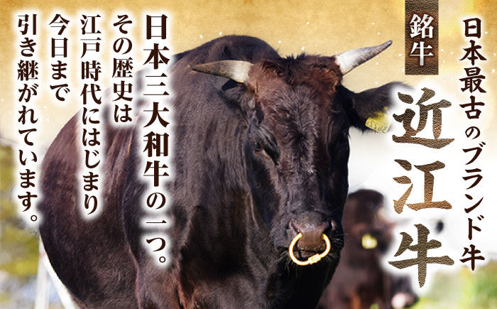 近江牛モモ スライス 500g 赤身  肉 牛肉 近江牛 モモ 切り落とし