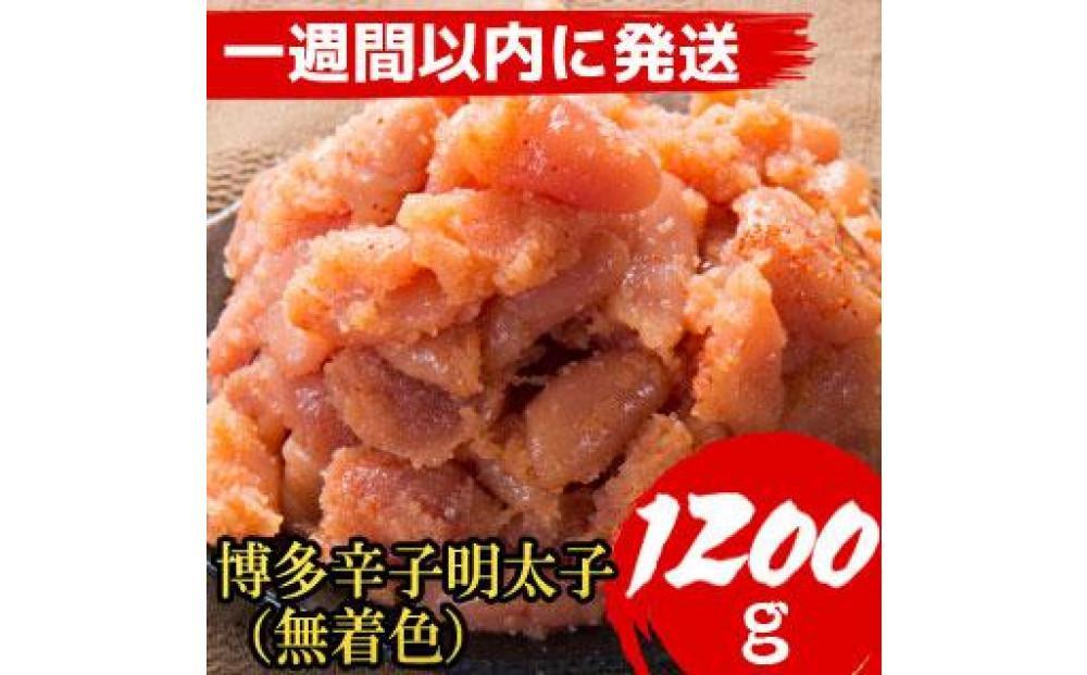 【７日以内に発送】【1200g！】博多辛子明太子(並切子破れ) (無着色)(4パック分）