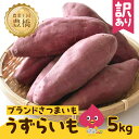 【ふるさと納税】訳あり さつまいも 5kg 土付き 熟成 ブランド 芋 うずらいも 高糖度 甘い 焼き芋 スイートポテト などに 簡易包装 採れたて 産地直送 道の駅とよはし 愛知県 豊橋市 送料無料 10000円