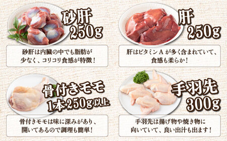 TRT06 若鶏まるごと 3.05kgセット