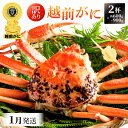 【ふるさと納税】【訳あり】≪浜茹で≫越前がに 600g〜900g前後 × 2杯（※生重量）食べ方しおり付【雄 ズワイガニ ずわいがに 越前ガニ 姿 ボイル 冷蔵 福井県】【1月発送分】希望日指定可 備考欄に希望日をご記入ください [e14-x004_01]