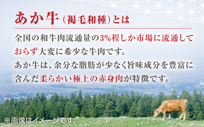 【全3回定期便】【日本ギフト大賞 受賞】熊本県産 あか牛ハンバーグ セット 計720g 冷凍 専用タレ付き あか牛のたれ付き 個包装 熊本和牛【有限会社 三協畜産】[YCG049]