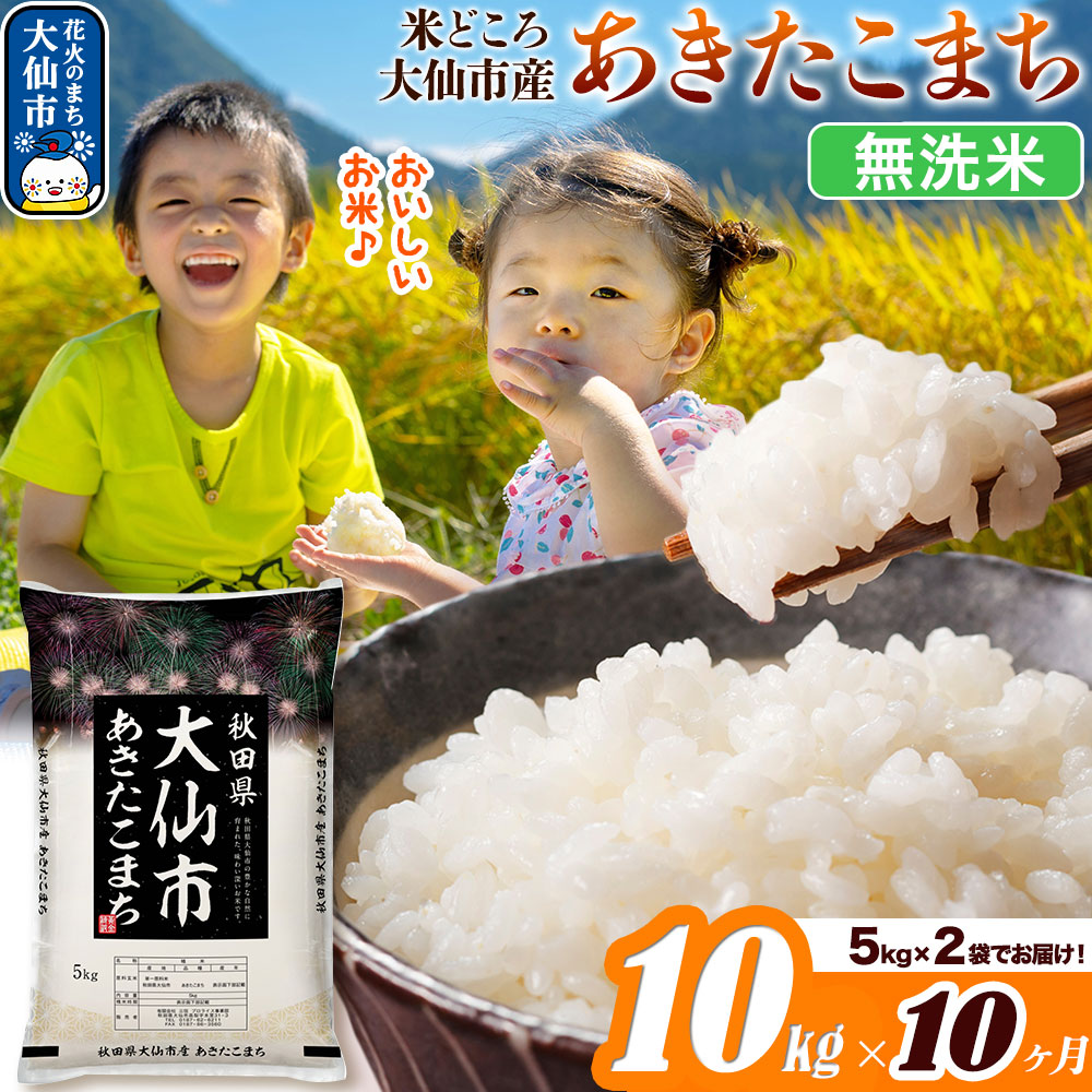 米 令和7年産《定期便10ヶ月》【無洗米】米どころ秋田県大仙市産 あきたこまち 10kg（5kg×2袋）