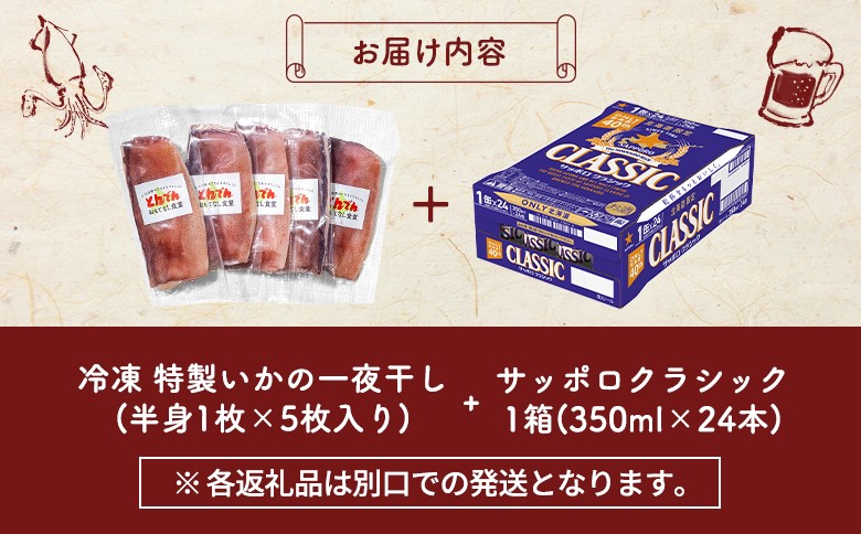 特製いかの一夜干し(5枚入り）とサッポロクラシックのセット【C99019】