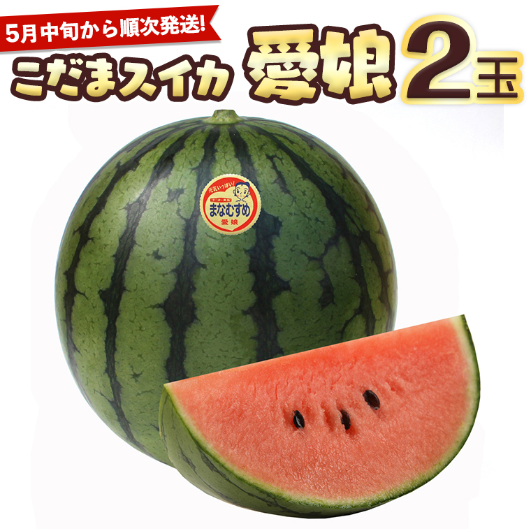 《 2027年 収穫分 》 小玉スイカ 愛娘 2玉 先行予約 国産 KEK 小玉 スイカ すいか 小玉すいか こだますいか 国産 西瓜 フルーツ 果物 くだもの 農家直送 旬 甘い ギフト 人気 産直 昼めし旅 [BC030sa]