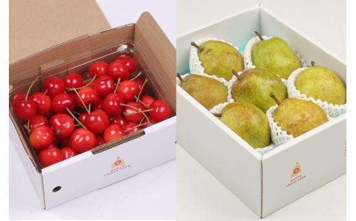 08-03-026　山形日本一くだものプラン 全2回