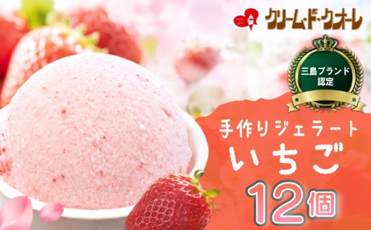 いちご ジェラート 12個 苺 イチゴ 紅ほっぺ ストロベリー アイス アイスクリーム じぇらーと スイーツ おやつ デザート クリーム・ド・クオーレ 伊豆 静岡県 三島市