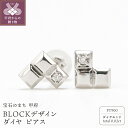 【ふるさと納税】 ピアス ジュエリー レディース メンズ アクセサリー ダイヤモンド 0.02ct Pt900 プラチナ スタッド 日常使い BLOCKデザイン ハンドメイド 巾着付 保証書付 k244-025