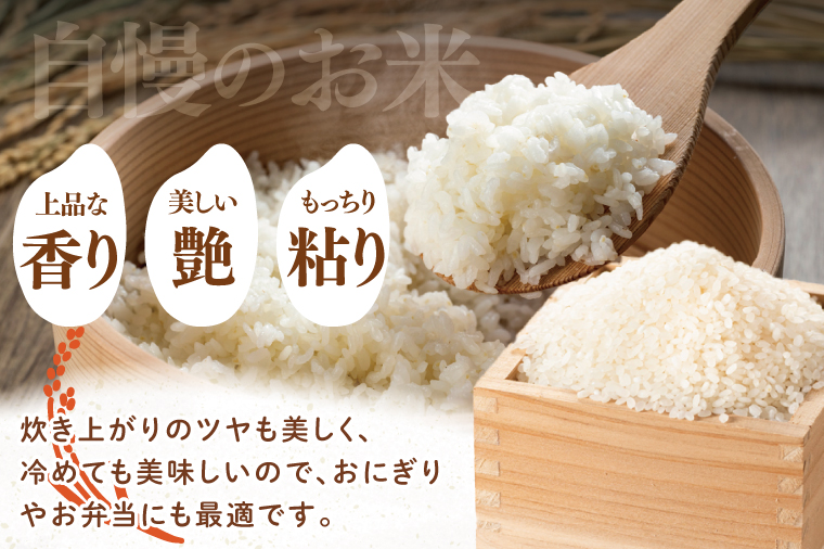 【10月より順次発送】【数量限定】【令和7年度産】茨城県産コシヒカリ 5kg【米 おこめ こしひかり 農家直送 直送 水戸市 茨城県】(ND-3)