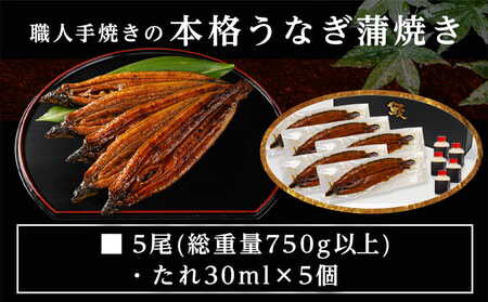 【丑の日】職人手焼きの本格うなぎ蒲焼き5尾≪7月20日～25日お届け≫_32-33-003-5-UG_(都城市) うなぎ 蒲焼き 5尾 たれ 鰻 かば焼き 土用の丑の日