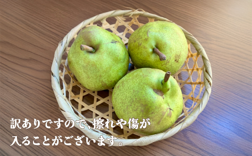 先行予約 訳あり ラ・フランス 約5kg (10~20個程度) 無印品 11月上旬~下旬頃発送 山形県産 フルーツ 果物 くだもの 令和8年産 2026年産 佐竹物産 sb-laxxw5-b 令和8年