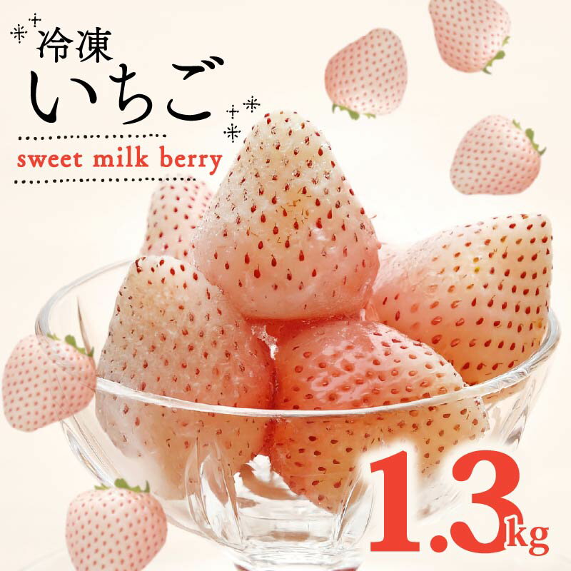 【ふるさと納税】 冷凍いちご 白いちご 計 1.3kg sweet milk berry 高級 イチゴ 苺 セット フルーツ 果物 ストロベリー 国産 スイーツ デザート 苺 冷凍いちご 冷凍イチゴ 冷凍苺 果物 アイス ジャム シャーベット 氷菓 冷凍 甘い