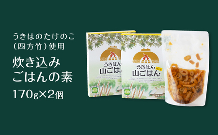 道の駅うきは うきはん 山ごはん (四方竹) (棚田米2㎏・炊き込みごはんの素170g×2個) セット