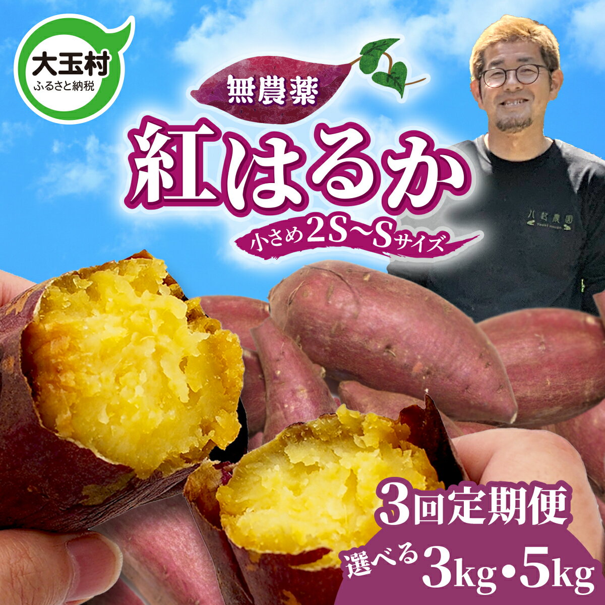 【ふるさと納税】定期便 無農薬 さつまいも 紅はるか 3kg / 5kg × 3ヶ月 2S〜S サイズ混合 福島県 大玉村産 国産 サツマイモ さつま芋 熟成 やきいも 焼き芋 おやつ スイーツ 野菜 |yn-sm-b |