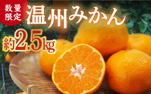 【期間限定】長崎県産 温州みかん 約2.5kg / みかん 柑橘 2.5kg フルーツ 果物 / 大村市 / 山光農園[ACAI001]