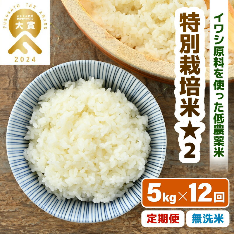【ふるさと納税】【先行予約】【令和8年産】 《定期便12回》特別栽培米 コシヒカリ 5kg × 12回 （計60kg） 無洗米 低農薬 / 北陸 福井県産 あわら市 ブランド米 白米 お米 コメ 特栽米 ※2026年10月上旬以降順次発送予定