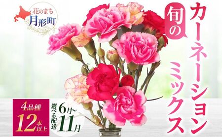 ＜選べる配送月＞ 北海道 カーネーション ミックス 4品種 12本以上 切り花 切花 花束 ブーケ 季節 旬 生花 フラワー アレンジメント 記念日 産地直送 つきがたふるさと花の会 6月お届け