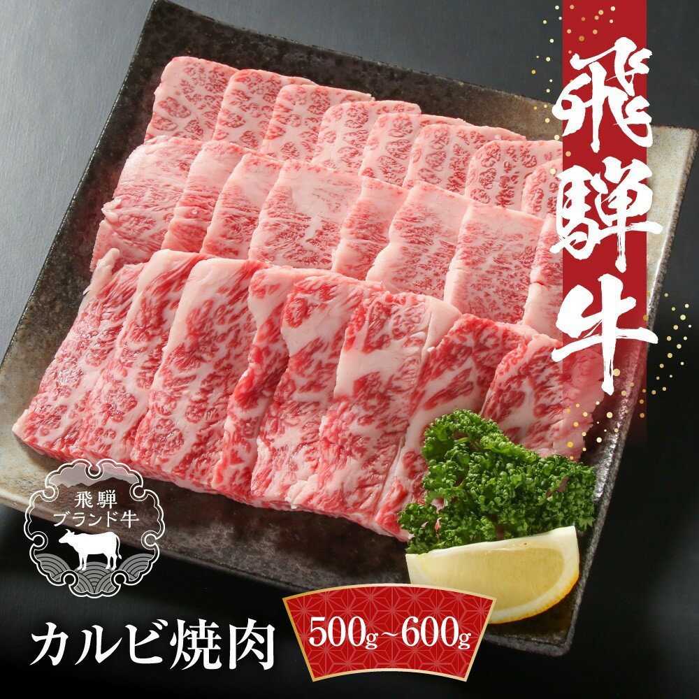 【ふるさと納税】飛騨牛 カルビ焼肉 500g～600g 冷凍真空パック | 肉 お肉 焼肉 焼き肉 やきにく 黒毛和牛 和牛 個包装 小分け 人気 おすすめ 牛肉 ギフト お取り寄せ バーベキュー キャンプ 飛騨高山ミートMZ005MP