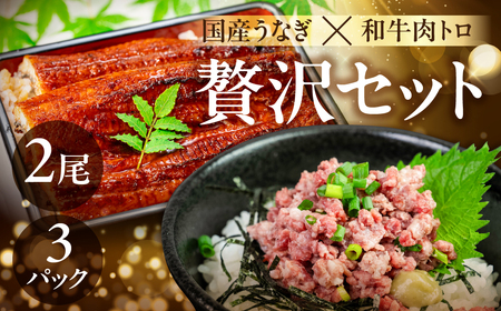 国産うなぎ & 牛肉トロ セット うなぎ うなぎ うなぎ 牛肉 牛肉 牛肉