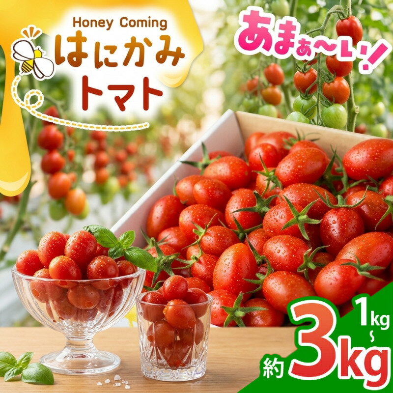 【ふるさと納税】トマト ミニトマト フルーツトマト 1kg 2kg 3kg 選べる容量 ｜ 完熟 トマト とまと 高糖度 はにかみトマト 野菜 リコピン 美容 美肌 健康 お取り寄せ 人気 高評価 野菜ランキング 1位 獲得 母の日 栃木県 真岡市 送料無料