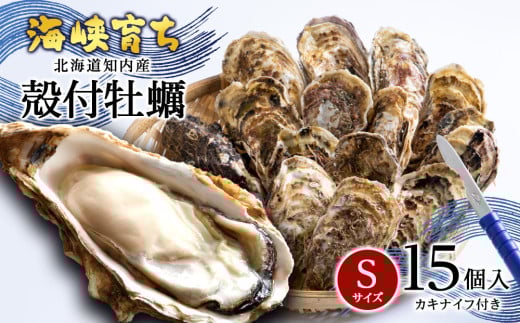 【2025年3月中旬以降発送】海峡育ち 殻付き牡蠣 Sサイズ 15個入り カキナイフ付＜上磯郡漁業協同組合＞ 生牡蠣 かき カキ 貝 海鮮 BBQ 鍋 ギフト