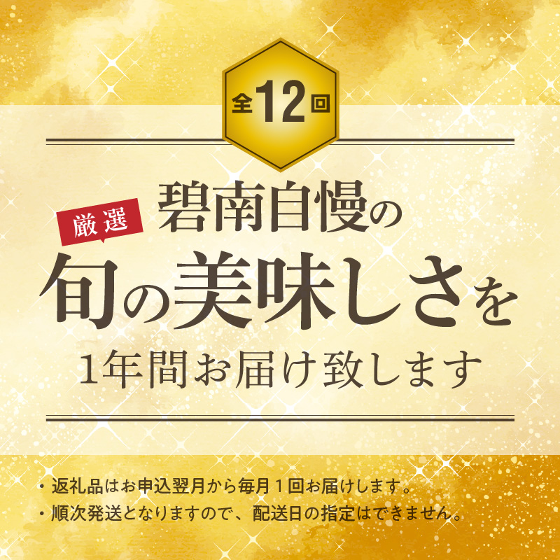 【全12回】厳選！季節を彩る旬のバラエティ定期便　H028-079