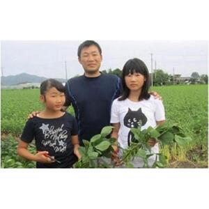 茶豆（枝豆）オーナー制度（枝豆収穫体験）【券 体験】