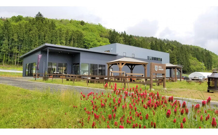 リバーウインズ ロゼ RIVER WINDS ROSE 2024　750ml×1本【 ロゼワイン お酒 アルコール アルコール飲料 晩酌 家飲み 宅飲み 飲み会 集まり バーベキュー BBQ イベント