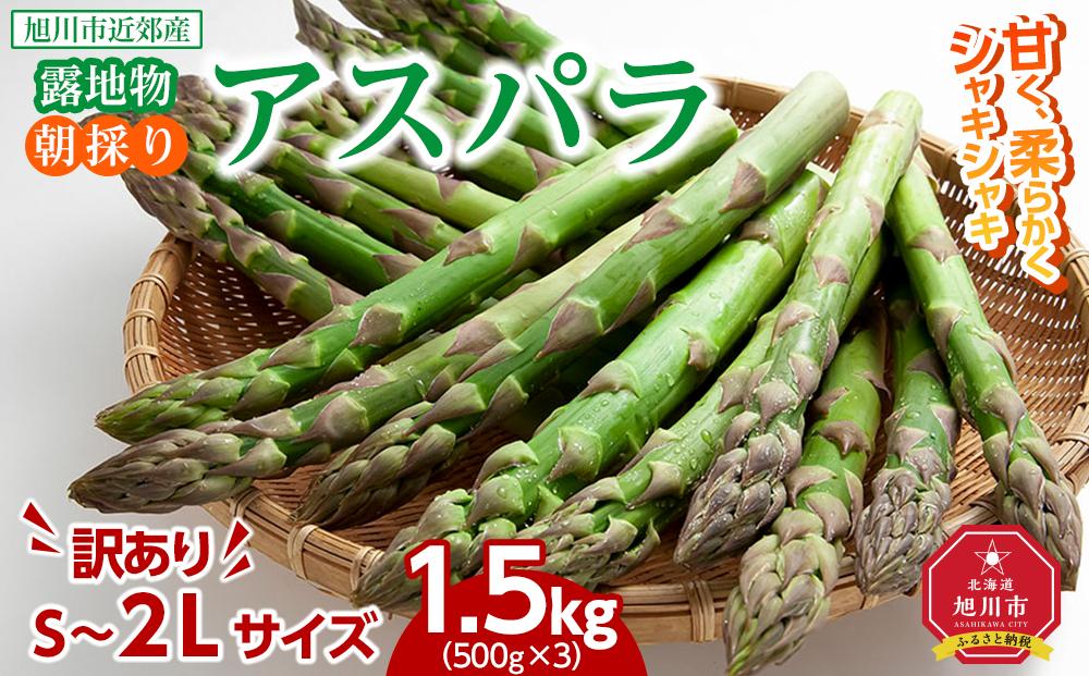 ◆2026年先行予約◆【訳あり】露地物朝採りアスパラ 1.5kg（500g×3）鮮度保持フィルム入り(5月中旬発送開始予定) 【 アスパラ アスパラガス 朝採り とれたて 野菜 旬 小分け 保存 産直 産地直送 お取り寄せ 旭川市 北海道 】_01589